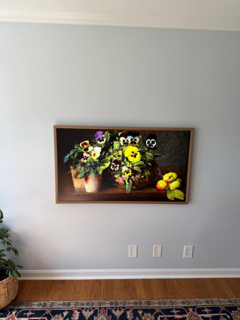 Hidden wire premium TV mounting with a clean finished wall in Houston